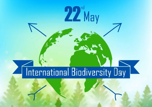 Biodiversity is measure of Health of Ecosystem