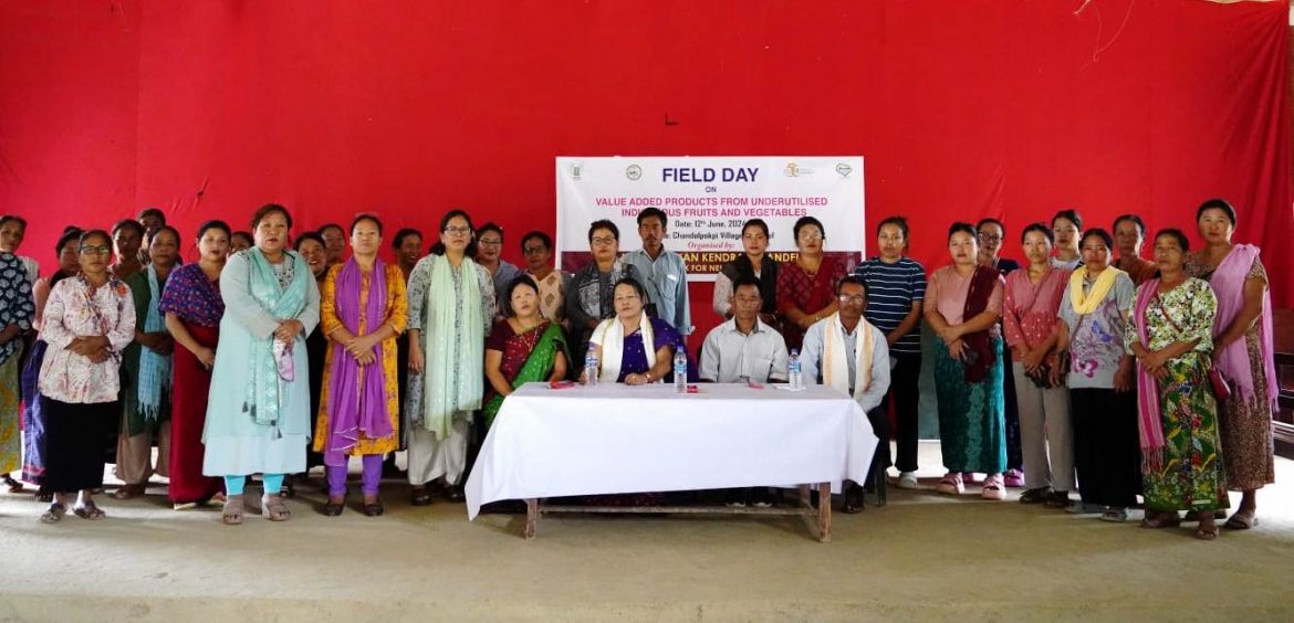 Field Day showcases potential of value-added products in Chandel