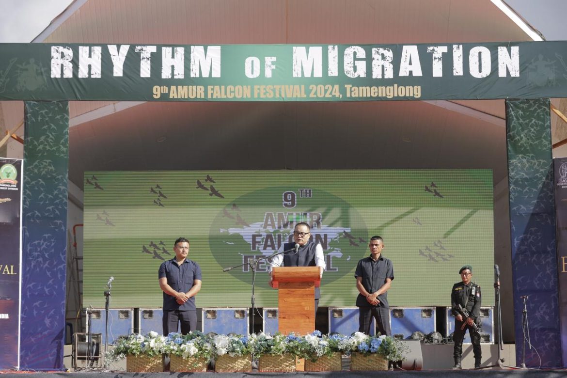 9th Amur Falcon Festival 2024 celebrated in Tamenglong with cultural richness
