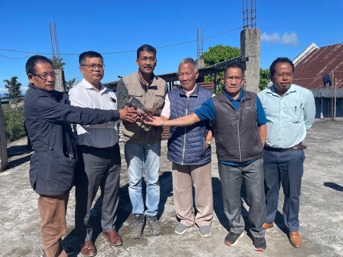 Satellite transmitters tagged Amur Falcon at Tamenglong